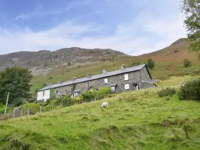 a house on a hill with a sheep in a field at 3 Highrake in Glenridding