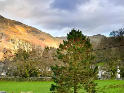 a tree in a field in front of a mountain at Molly's Cottage in Glenridding
