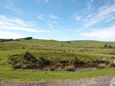 a field with a pond in the middle of a field at Greenrigg Cottage in Caldbeck