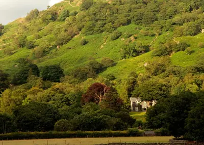 a house on the side of a hill with trees at Hazel Bank Country House Borrowdale Valley in Rosthwaite