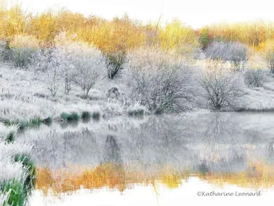 a body of water with trees and snow on it at Red Rose Cottage in Cockermouth