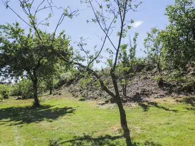 two trees in a grassy field with a hill at Bleng Barn Cottage in Seascale