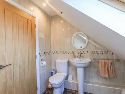 a bathroom with a toilet and a sink at South Milton Cottage in Glenluce