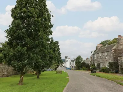 a tree on the side of a road at The Old Brewery Store in Gatehouse of Fleet