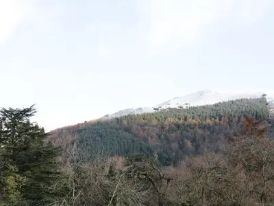 a view of a mountain with trees on it at Wrenville in Keswick