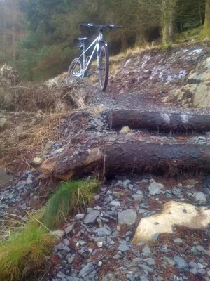 a bike parked next to a fallen tree at Silver Ridge, 2 House O` Hill in Newton Stewart