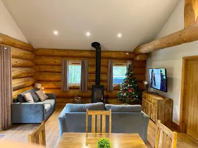 a living room with a couch and a fireplace at Ewes Water Log Cabins in Langholm