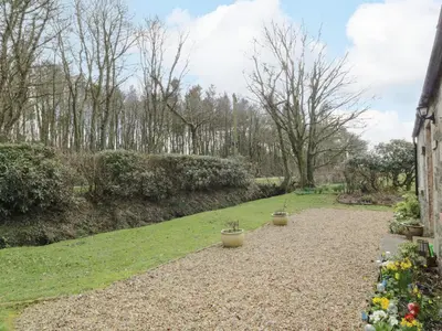 a garden with two potted plants in a yard at Rose Cottage in Stranraer