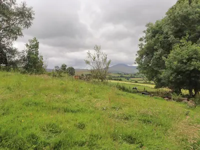 a grassy hill with trees and cows in a field at Fell Cottage in Wigton