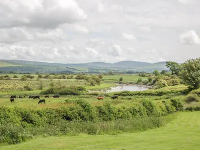a herd of cows grazing in a field with a river at The Dairy in Newton Stewart