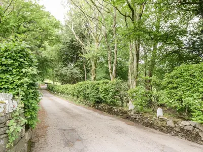 a dirt road with trees and a stone wall at Thirlmere Suite in Thirlmere