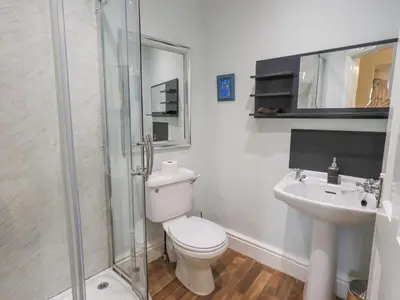 a bathroom with a toilet and a sink at Greta Mill in Keswick
