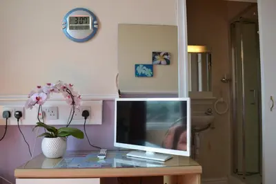 a television sitting on a table with a plant at Adelphi Guest House in Douglas