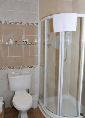 a bathroom with a white toilet and a shower at Douglas House in Castle Douglas