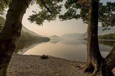 a view of a lake with a tree at Bridge Hotel in Buttermere