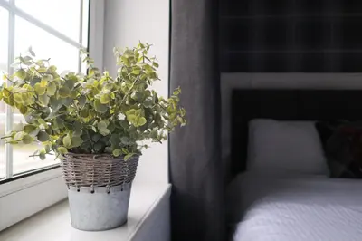 a plant in a vase sitting on a window sill at Harbourside Hotel in Irvine