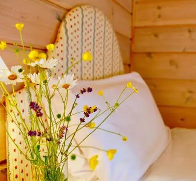 a vase filled with flowers sitting next to a chair at Lapwing, Skylark & Curlew Seaside Chalets in Kirkbean