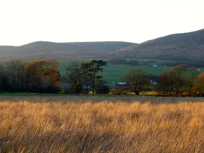 a field of grass with trees and hills in the background at Lapwing, Skylark & Curlew Seaside Chalets in Kirkbean