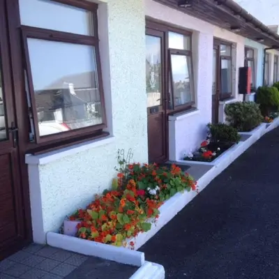 a row of windows with flowers on the side of a building at The Thistle in Stranraer