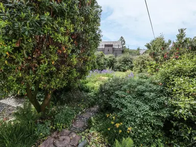 a garden with a large tree and plants at 27-29 St Marys Place in Kirkcudbright