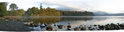 a group of ducks swimming in a lake at Lyndhurst in Keswick