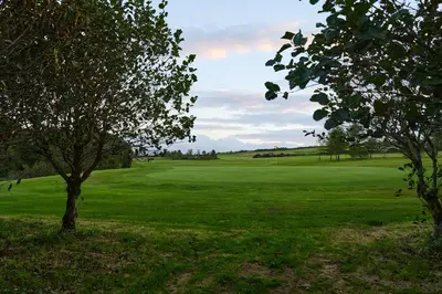a golf green with two trees in the foreground at Comis Hotel & Golf Resort in Douglas