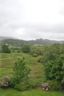 a field of grass with trees and bushes at Forest How Guest House in Eskdale