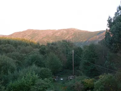 a view of a forest with mountains in the background at Forest How Guest House in Eskdale