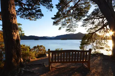 a park bench sitting under a tree near a lake at Abacourt House in Keswick