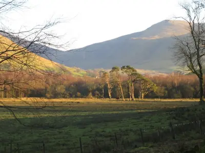 a field with trees and mountains in the background at Overwater Hall in Bassenthwaite