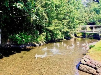 a group of ducks in a river with a bridge at Apple Tree Cottage in Bassenthwaite