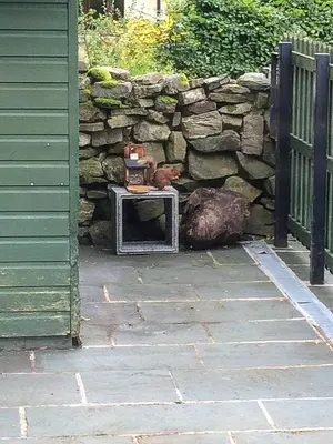 a stone wall and a table next to a fence at Lords Seat Bed & Breakfast in Keswick