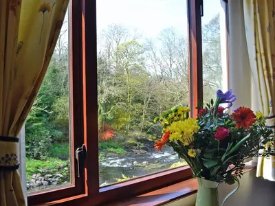 a vase filled with flowers sitting on a window sill at Waterwheel in Dalbeattie