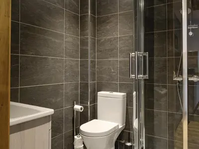 a bathroom with a toilet and a shower at The Byres Methera in St Bees
