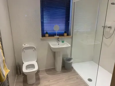 a bathroom with a toilet and a sink and a shower at Woodburn Lodges in Dumfries