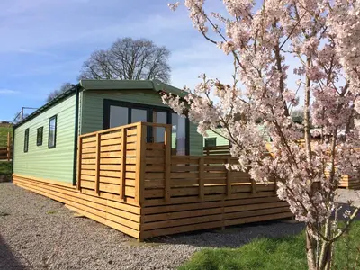 a green tiny house with a fence and a tree at Parkgate Farm in Holmrook