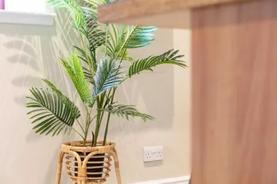 a plant in a basket in a room at Granary Suite No3 - Donnini Apartments in Ayr
