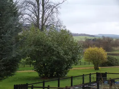 a tree in a field next to a fence at Groom's Cottage in Moffat
