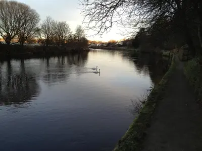 a couple of ducks swimming in a river at Hamilton House in Dumfries