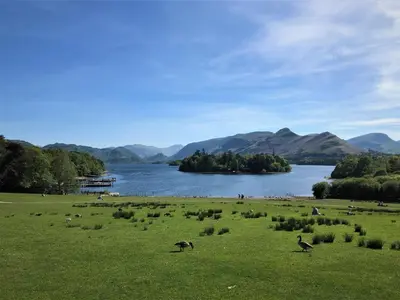 a grassy field with birds in a field next to a lake at Crow Park Hotel in Keswick