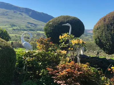 two birds in a garden with bushes and trees at The Bungalows Guesthouse in Threlkeld