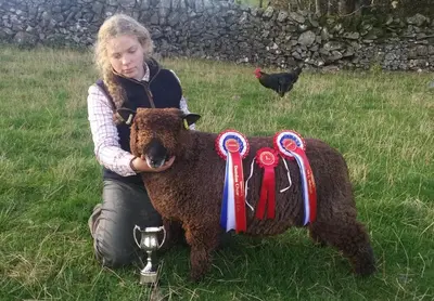 a girl is hugging a stuffed animal with ribbons at Boreland Farm in Dunscore