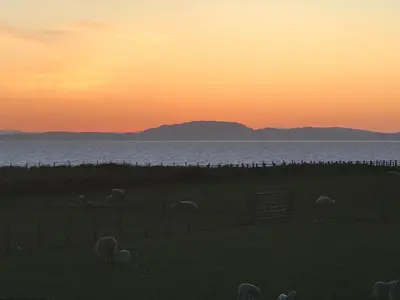 a group of sheep grazing in a field at sunset at Sea view cottage in Allonby