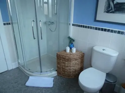 a bathroom with a shower and a toilet at Burnside Guest House in Ayr