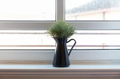 a black vase sitting on a window sill with a plant at Bay View - Donnini Apartments in Ayr