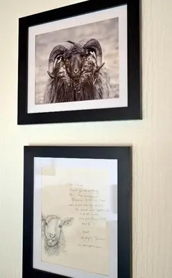 two framed pictures of a ram and a handwritten note at Lodge Cabin with Fabulous Views - Farm Holiday in Stranraer