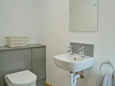 a bathroom with a sink and a toilet at Halleaths Home Farm in Lochmaben