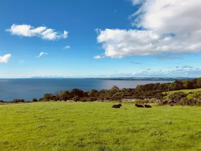 two cows laying in a field with a view of the water at Little Beach - Uk5997 in Carsluith
