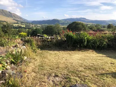 a field of flowers with mountains in the background at Cottam Road in Threlkeld