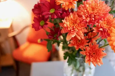 a vase filled with orange and red flowers on a table at Providence Cottage in Kirkcudbright